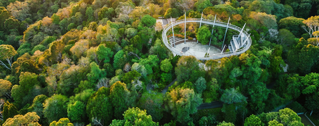 Curtis Crest Tree Top Walk