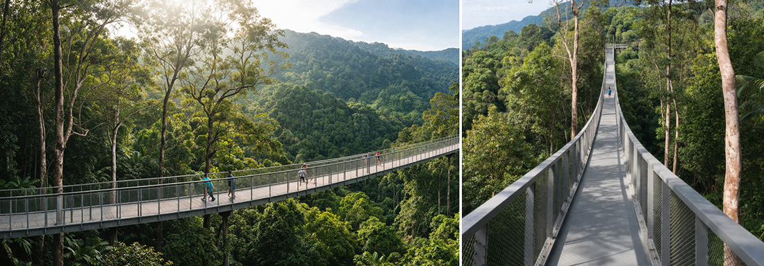 Langur Way Canopy Walk
